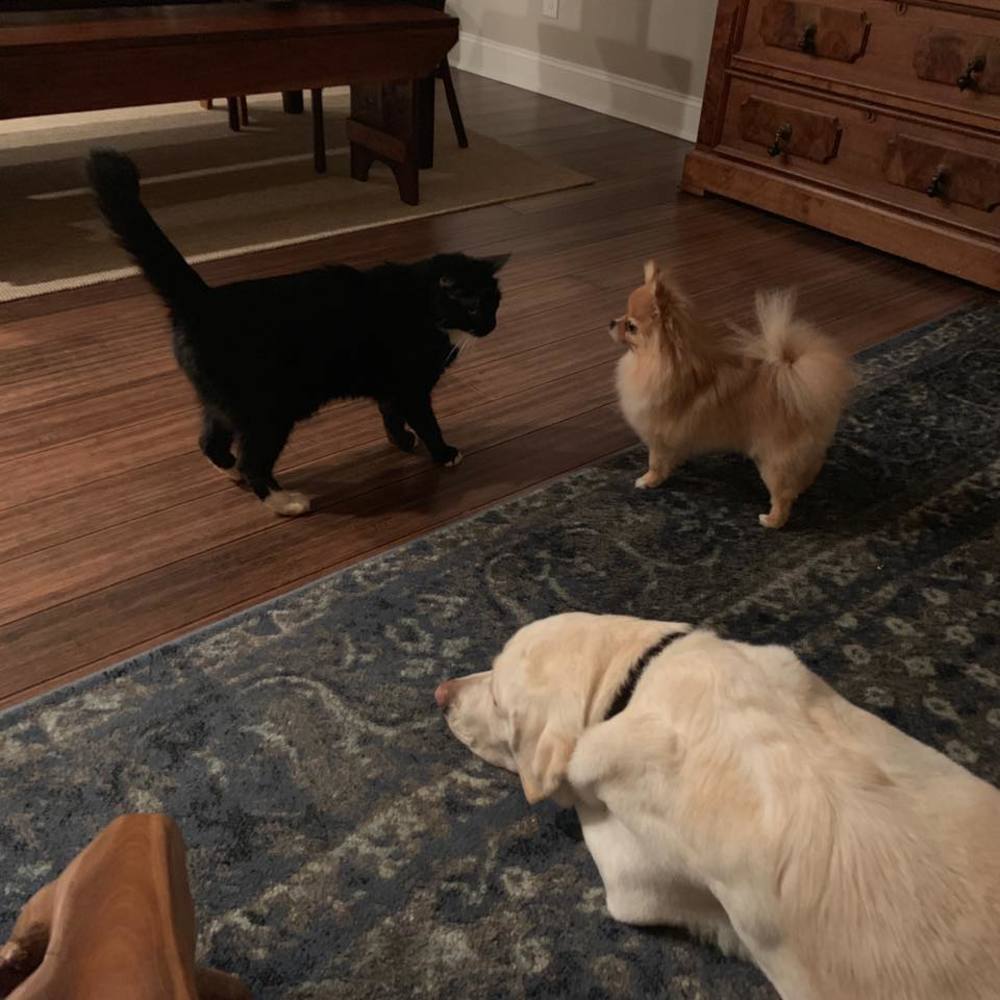 Meet your Posher, Rebecca